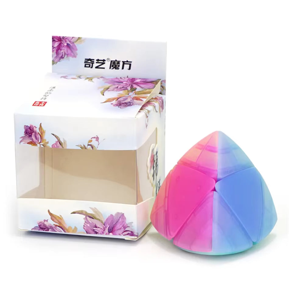 boîte du qiyi mastermorphix 2x2 jelly